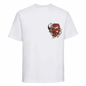 TENGU - PROTECTION